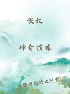 傻奴
