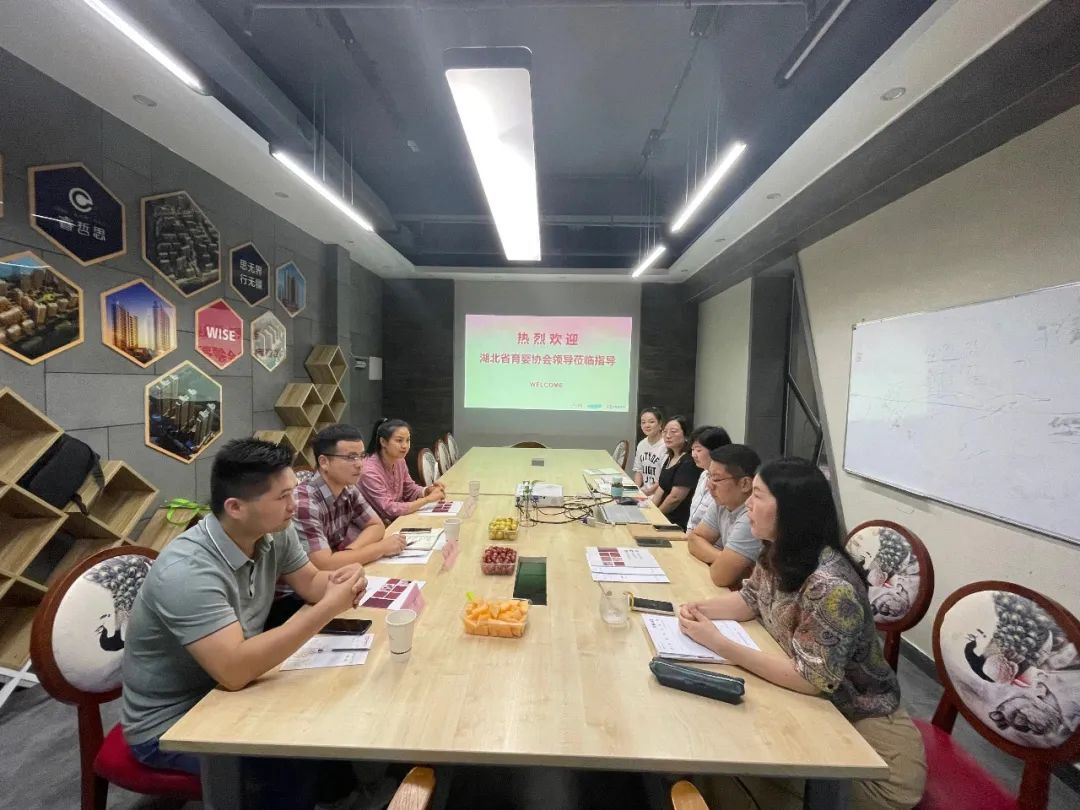 湖北省育婴行业协会黄石办事处揭牌致合移动月子中心正式成立！