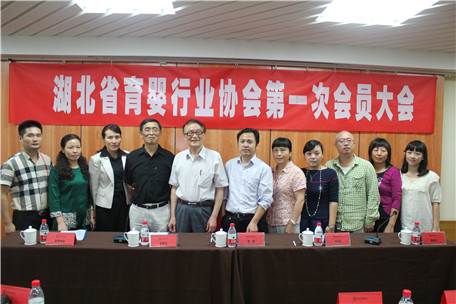 湖北省育婴行业协会第一次会员大会胜利召开!