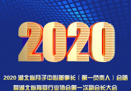 2020年湖北省月子中心董事长（第一负责人）会晤暨湖北省育婴行业协会第一次副会长大会即将拉开帷幕！